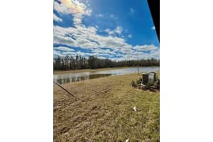 18242 PLEASANTVIEW BOULEVARD, LAND O LAKES, FL 34638 - MLS#MFRTB8475531