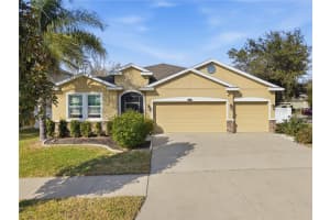 10420 PLEASANT SPRING WAY, RIVERVIEW, FL 33578 - MLS#MFRTB8475551
