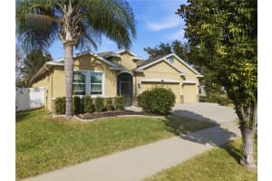 10420 PLEASANT SPRING WAY, RIVERVIEW, FL 33578 - MLS#MFRTB8475551