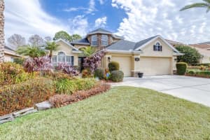 3628 VALENCIA COVE COURT, LAND O LAKES, FL 34639 - MLS#MFRTB8475559