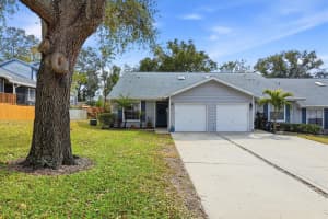 39650 US HIGHWAY 19 N #1311, TARPON SPRINGS, FL 34689 - MLS#MFRTB8475582