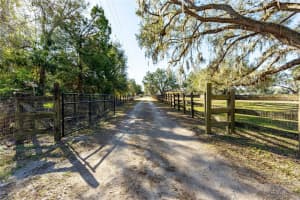 27430 MILLER ROAD, DADE CITY, FL 33525 - MLS#MFRTB8475586