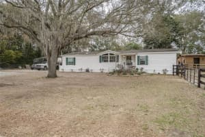 8540 BOYT ROAD, ZEPHYRHILLS, FL 33540 - MLS#MFRTB8475591