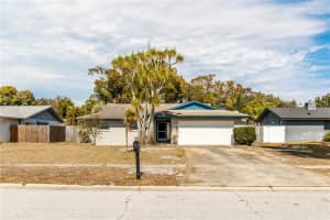 2342 WILLOW TREE TRAIL, CLEARWATER, FL 33763 - MLS#MFRTB8475594