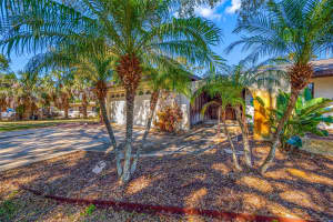 869 SEMINOLE BOULEVARD, TARPON SPRINGS, FL 34689 - MLS#MFRTB8475626