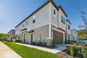 10811 FOWLERS BLUFF COURT, TAMPA, FL 33647 - MLS#MFRTB8475639