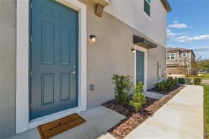 10811 FOWLERS BLUFF COURT, TAMPA, FL 33647 - MLS#MFRTB8475639