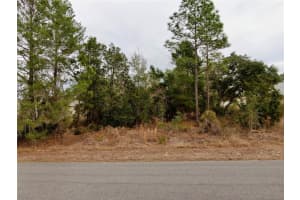 11072 LIBERTO ROAD, WEEKI WACHEE, FL 34614 Sold 03/30/26