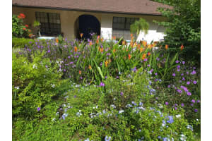 23059 GENEVA ROAD, LAND O LAKES, FL 34639 - MLS#MFRTB8475671