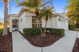 3009 BANYAN HILL LANE, LAND O LAKES, FL 34639 - MLS#MFRTB8475673