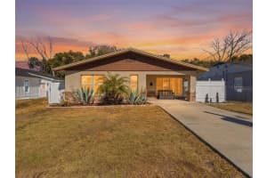 207 BROAD STREET, TAMPA, FL 33604 - MLS#MFRTB8475696