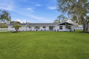 2338 MEADOWBROOK DRIVE, LUTZ, FL 33558 - MLS#MFRTB8475703