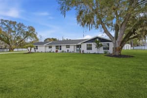 2338 MEADOWBROOK DRIVE, LUTZ, FL 33558 - MLS#MFRTB8475703