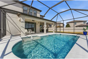 19484 BLOSSOM VINE LANE, LUTZ, FL 33558 - MLS#MFRTB8475728