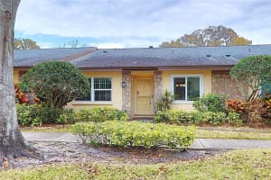865 MACLAREN DRIVE, PALM HARBOR, FL 34684 - MLS#MFRTB8475744