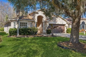 31351 KIRKSHIRE COURT, WESLEY CHAPEL, FL 33543 - MLS#MFRTB8475754