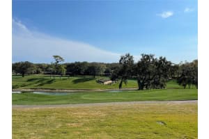 36750 US HIGHWAY 19 N #14-211, PALM HARBOR, FL 34683 - MLS#MFRTB8475762