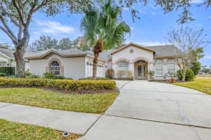 10246 Timberland Point Dr, TAMPA 10246 Timberland Point Dr, TAMPA