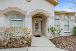 10246 TIMBERLAND POINT DR, TAMPA, FL 33647 - MLS#MFRTB8475779