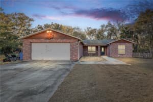 8849 RICHMOND STREET, GIBSONTON, FL 33534 - MLS#MFRTB8475811