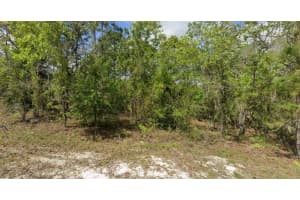 14135 EASTERN PHOEBE ROAD, BROOKSVILLE, FL 34614 - MLS#MFRTB8475813