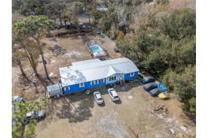 6905 KNIGHTS GRIFFIN ROAD, PLANT CITY, FL 33565 - MLS#MFRTB8475849