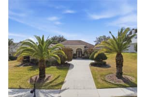 13642 THOROUGHBRED DRIVE, DADE CITY, FL 33525 - MLS#MFRTB8475853