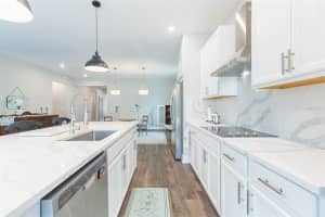 4808 BUTLER NATIONAL DRIVE, WESLEY CHAPEL, FL 33543 - MLS#MFRTB8475865