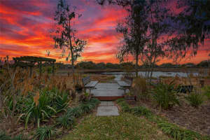 19902 DOLORES ANN COURT, LUTZ, FL 33549 - MLS#MFRTB8475889