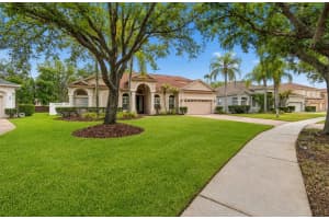 16329 ASHINGTON PARK DRIVE, TAMPA, FL 33647 - MLS#MFRTB8475899