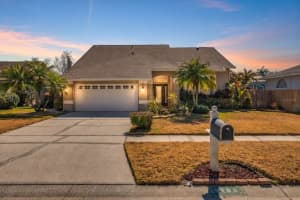 6208 Forrestal Dr, TAMPA