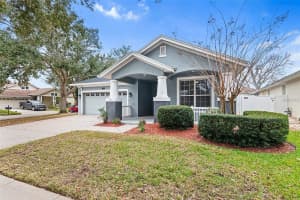 18037 LAKE REFLECTIONS BOULEVARD, LUTZ, FL 33558 - MLS#MFRTB8475921