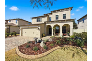 1249 KETZAL DRIVE, TRINITY, FL 34655 - MLS#MFRTB8475972