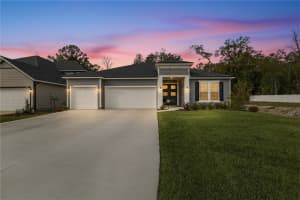 2246 PALISADE POINT, MIDDLEBURG, FL 32068 - MLS#MFRTB8475981