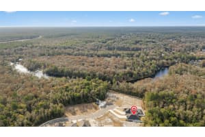 2246 PALISADE POINT, MIDDLEBURG, FL 32068 - MLS#MFRTB8475981