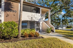2990 BONAVENTURE CIRCLE, PALM HARBOR, FL 34684 - MLS#MFRTB8476061