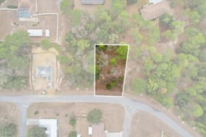 2924 EUNICE DRIVE, DUNNELLON, FL 34433 - MLS#MFRTB8476087