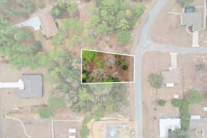 2924 EUNICE DRIVE, DUNNELLON, FL 34433 - MLS#MFRTB8476087