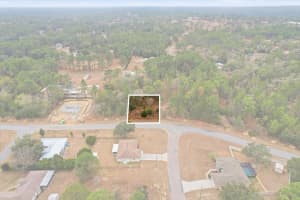 2924 EUNICE DRIVE, DUNNELLON, FL 34433 - MLS#MFRTB8476087