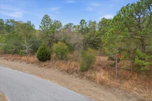 2924 EUNICE DRIVE, DUNNELLON, FL 34433 - MLS#MFRTB8476087