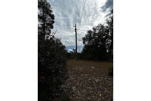 SW 29TH AVENUE ROAD, OCALA, FL 34473 Sold 04/03/26