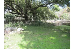 37736 PHELPS ROAD, ZEPHYRHILLS, FL 33541 - MLS#MFRTB8476123
