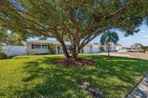 1450 SAN ROY DRIVE, DUNEDIN, FL 34698 - MLS#MFRTB8476136