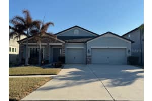 11439 CARLTON FIELDS DRIVE, RIVERVIEW, FL 33579 - MLS#MFRTB8476137