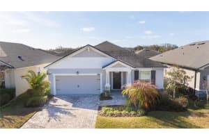 10729 Planer Picket Dr, RIVERVIEW