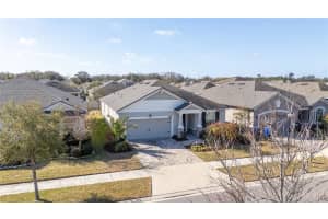 10729 PLANER PICKET DRIVE, RIVERVIEW, FL 33569 - MLS#MFRTB8476152