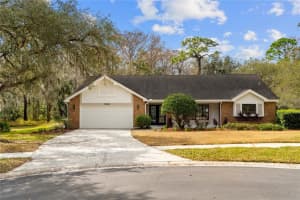 346 Carson Ln, PALM HARBOR 346 Carson Ln, PALM HARBOR