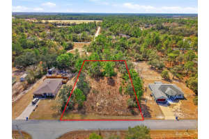 11263 MEXICAN CANARY AVENUE, WEEKI WACHEE, FL 34614 - MLS#MFRTB8476173