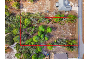 11263 MEXICAN CANARY AVENUE, WEEKI WACHEE, FL 34614 - MLS#MFRTB8476173