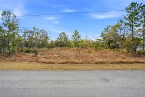 11263 MEXICAN CANARY AVENUE, WEEKI WACHEE, FL 34614 - MLS#MFRTB8476173